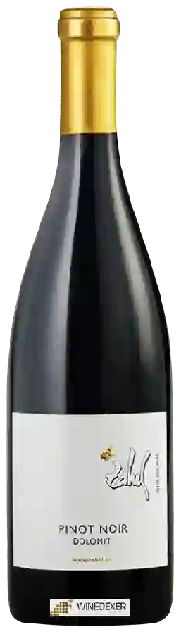 Winery Zahel - Dolomit Pinot Noir