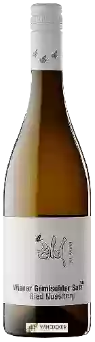 Winery Zahel - Nussberg