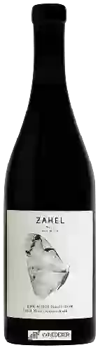 Winery Zahel - Ried Sätzen Maurerberg Dolomitkalk Pinot Noir
