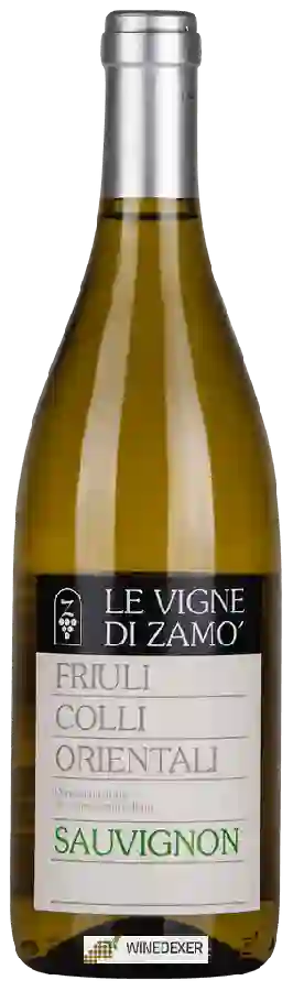Winery Le Vigne di Zamò - Sauvignon