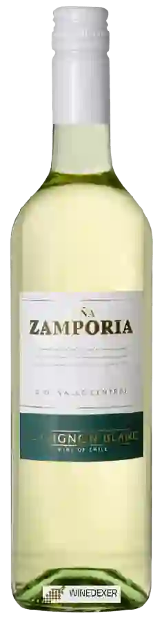 Winery Viña Zamporia - Sauvignon Blanc Winery Viña Zamporia - Sauvignon Blanc