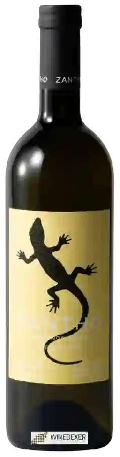 Winery Zantho - Sauvignon Blanc Winery Zantho - Sauvignon Blanc