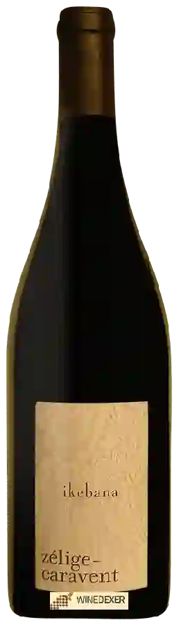 Winery Zelige-Caravent - Ikebana