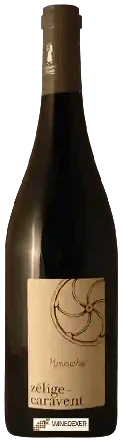 Winery Zelige-Caravent - Manouches