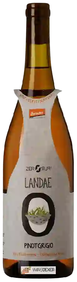 Winery Zero Puro - Landae Pinot Grigio