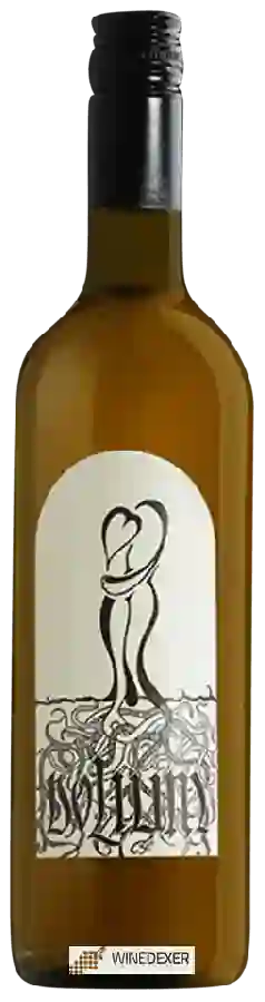 Winery Zorjan - Dolium