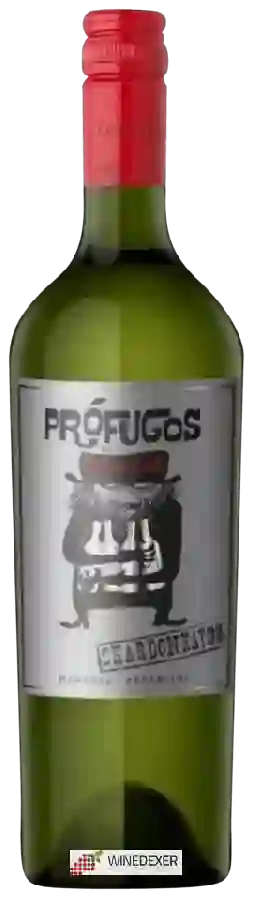 Winery Zorzal - Prófugos Chardonnay Winery Zorzal - Prófugos Chardonnay