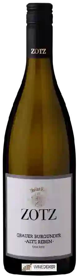 Winery Julius Zotz - Grauer Burgunder Alte Reben Trocken