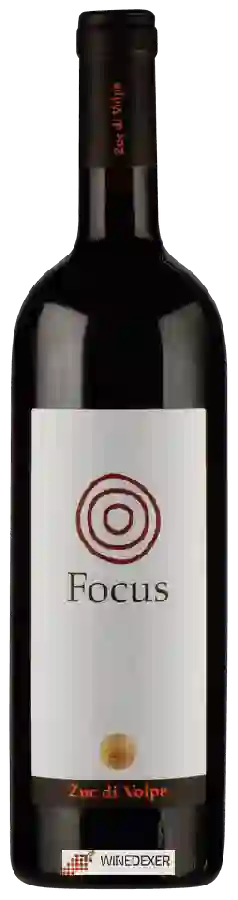 Winery Zuc di Volpe - Focus Winery Zuc di Volpe - Focus