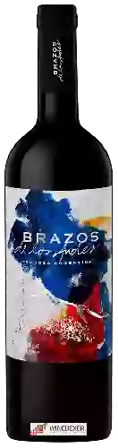 Winery Zuccardi - Brazos de los Andes Red