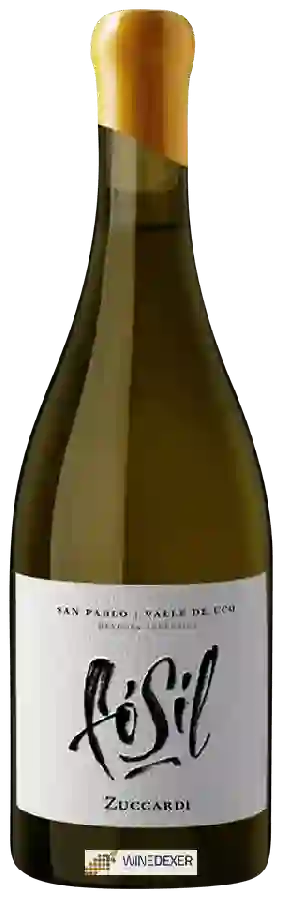 Winery Zuccardi - Fósil San Pablo Winery Zuccardi - Fósil San Pablo