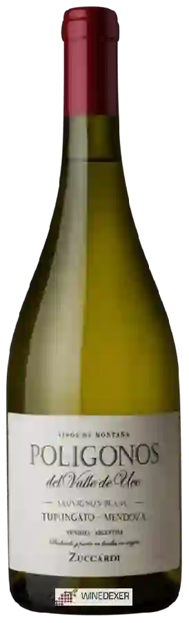 Winery Zuccardi - Poligonos Sauvignon Blanc