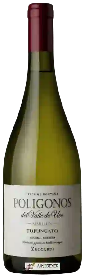 Winery Zuccardi - Polígonos Sémillon