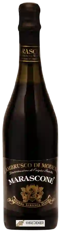 Winery Zucchi - Lambrusco di Modena Marascone