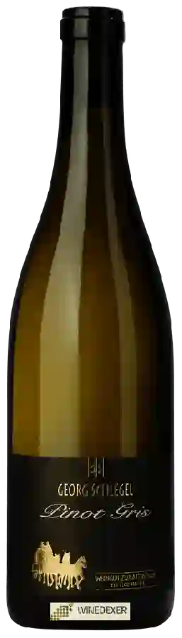 Winery Weingut Zur Alten Post - Georg Schlegel - Jenins Pinot Gris