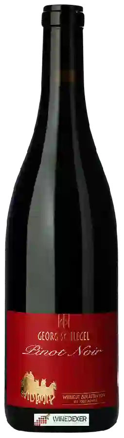 Winery Weingut Zur Alten Post - Georg Schlegel - Jenins Pinot Noir