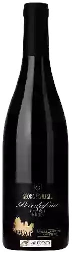 Winery Weingut Zur Alten Post - Georg Schlegel - Pradafant Barrique Pinot Noir