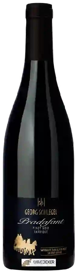 Winery Weingut Zur Alten Post - Georg Schlegel - Pradafant Barrique Pinot Noir