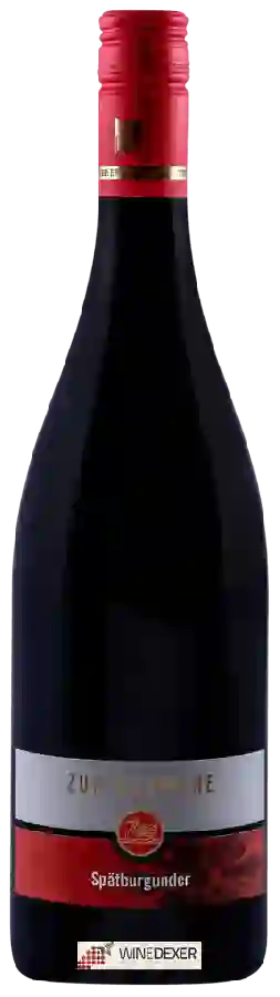 Winery Zur Schwane - Spätburgunder