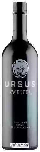 Winery Zweifel - Ursus